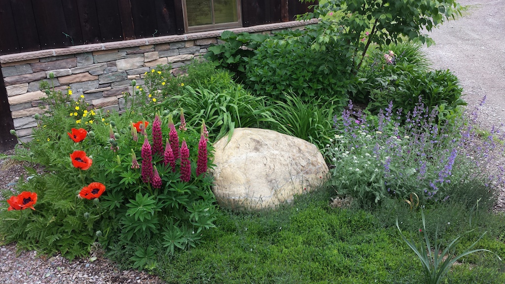 Commercial Flowerbed and Lawn Maintained by B's Montana Gardens